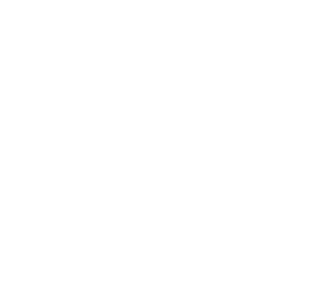 We Are The Shield Web Logo