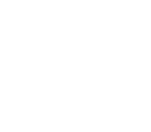 We Are The Shield Web Logo